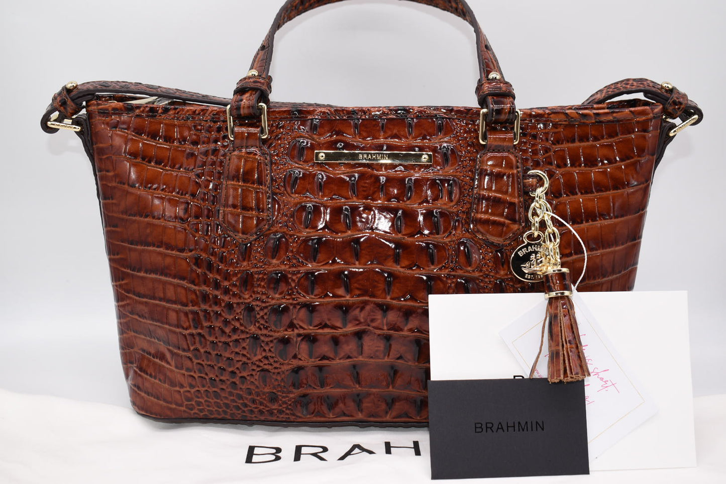 Brahmin Mini Asher Satchel Bag in Pecan Melbourne