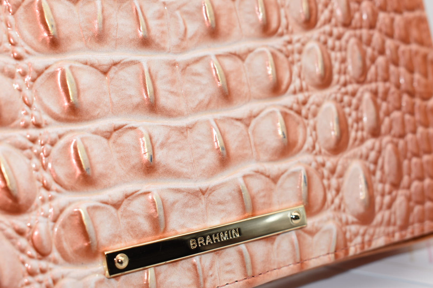 Brahmin AnnMarie Wallet in Sherbert Ombre Melbourne