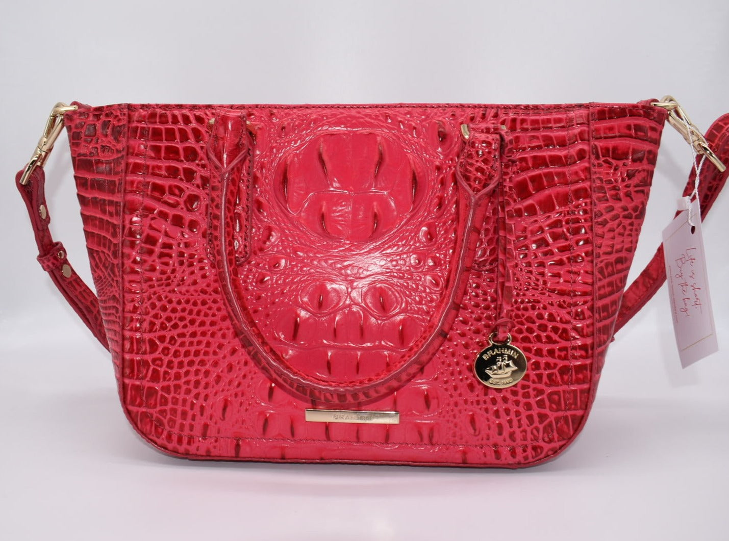 Brahmin Small Ashlee Satchel Bag in Sweetheart Ombre Melborne