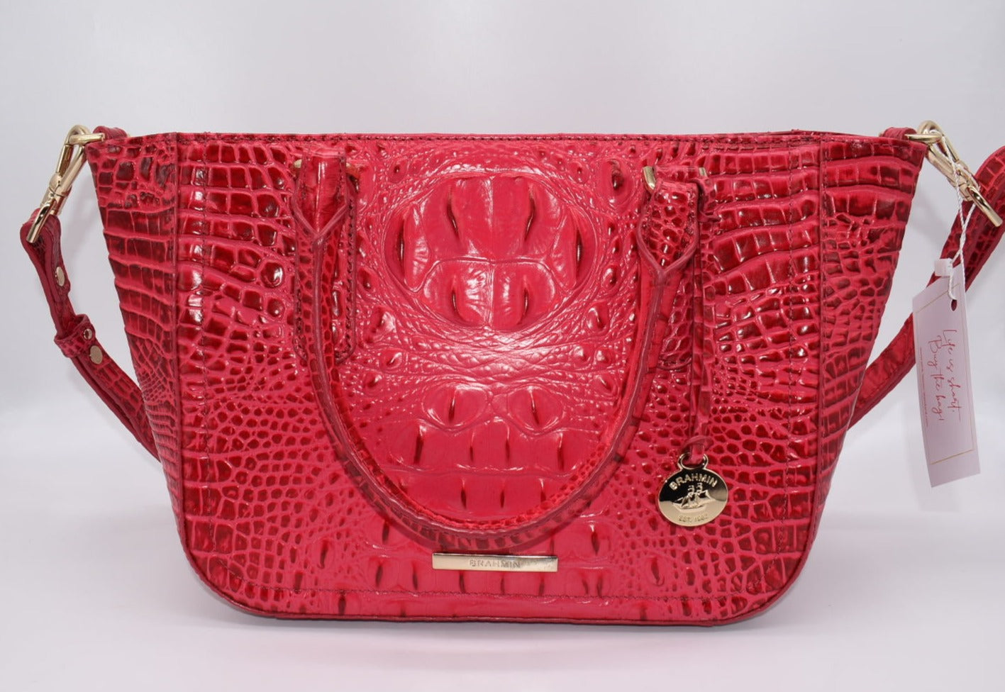 Brahmin Small Ashlee Satchel Bag in Sweetheart Ombre Melborne