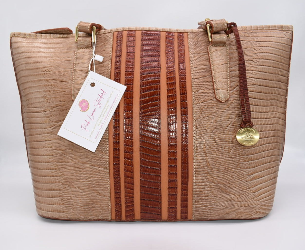 Brahmin Medium Asher Tote Bag in Cabana Vineyard Stripe